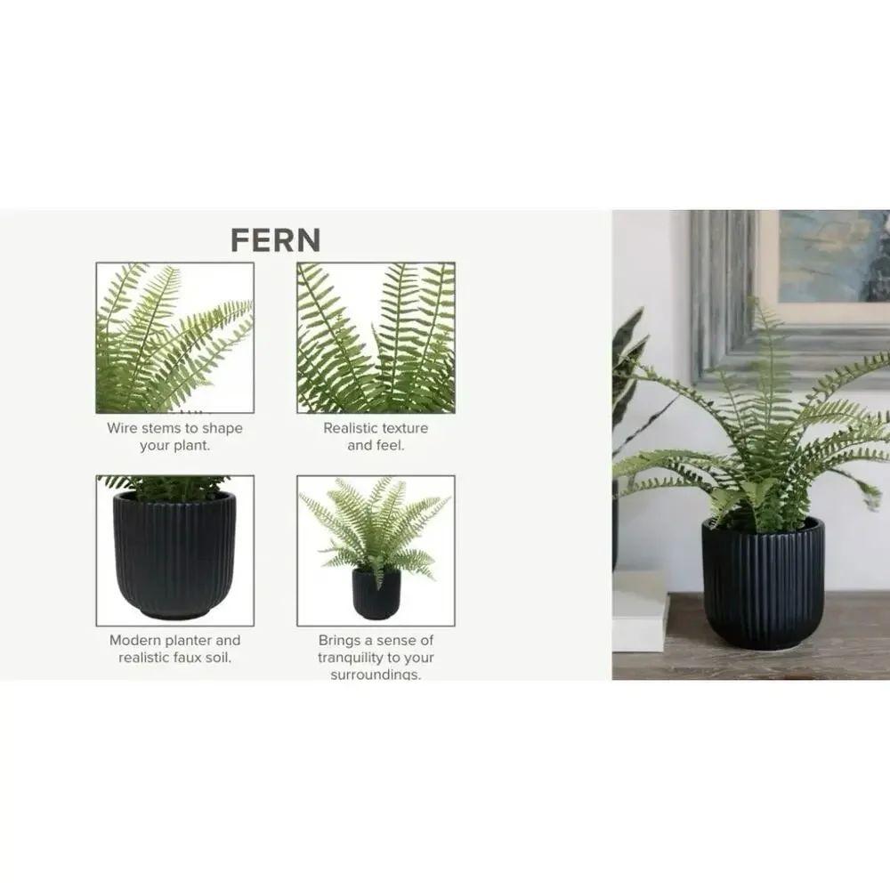 CGH Faux Decorative Plant 3 Pack Snake Fern Prayer Plant Planter Zero Maintenanc